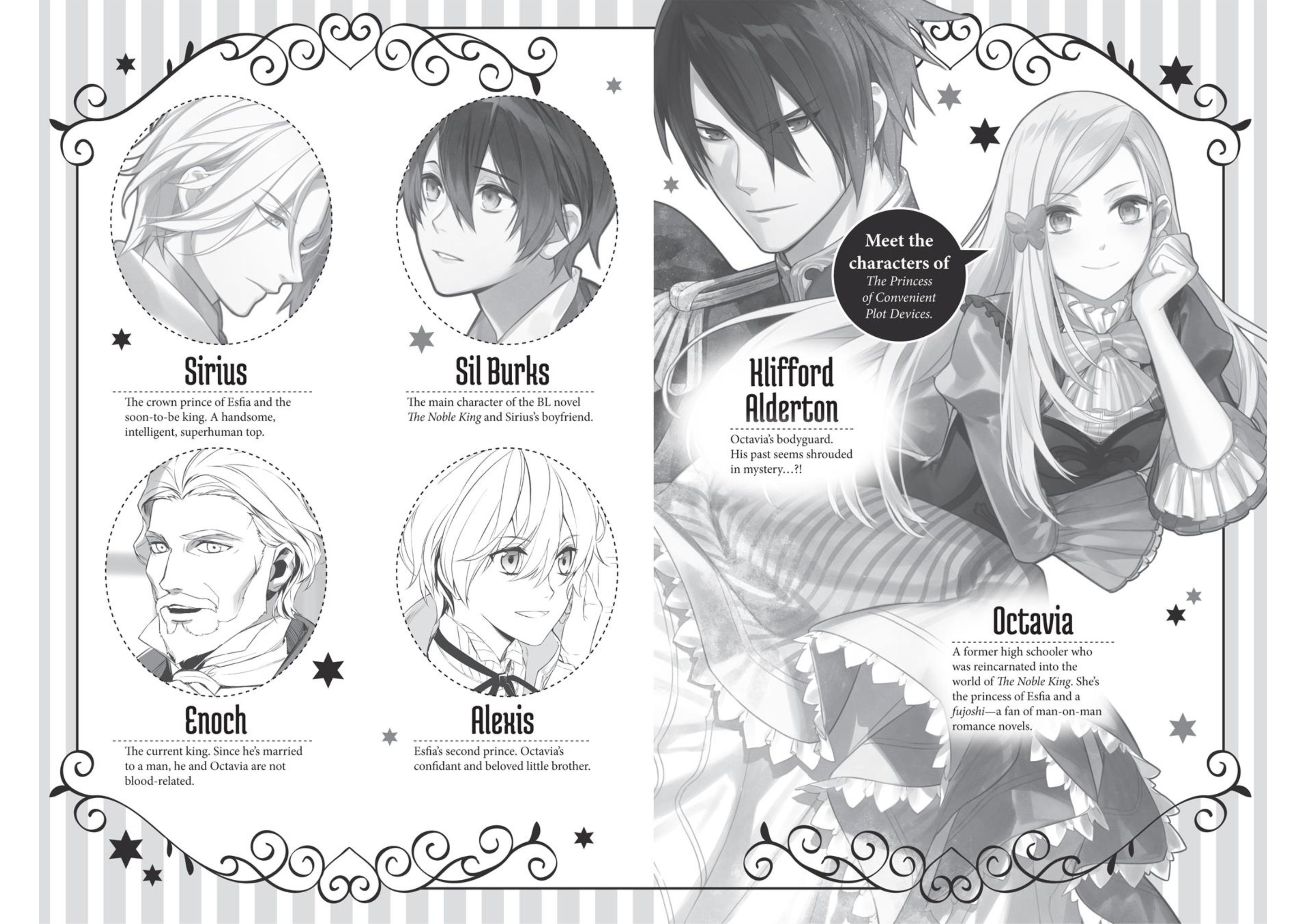 Watashi wa Gotsugoushugi na Kaiketsu Tantou no Oujo de Aru V1 Illustration - Megumi Novel