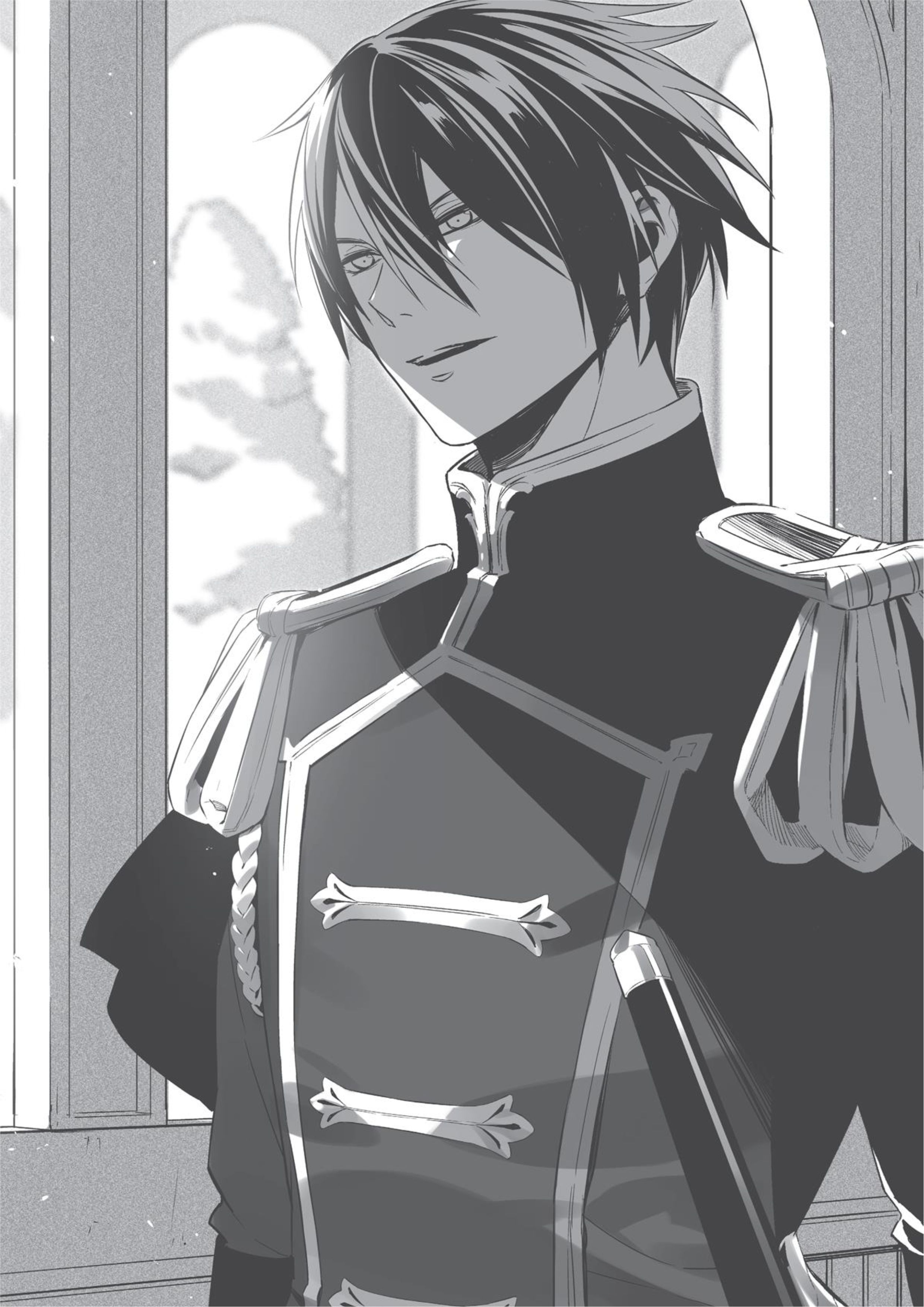 Watashi wa Gotsugoushugi na Kaiketsu Tantou no Oujo de Aru V1 Illustration - Megumi Novel