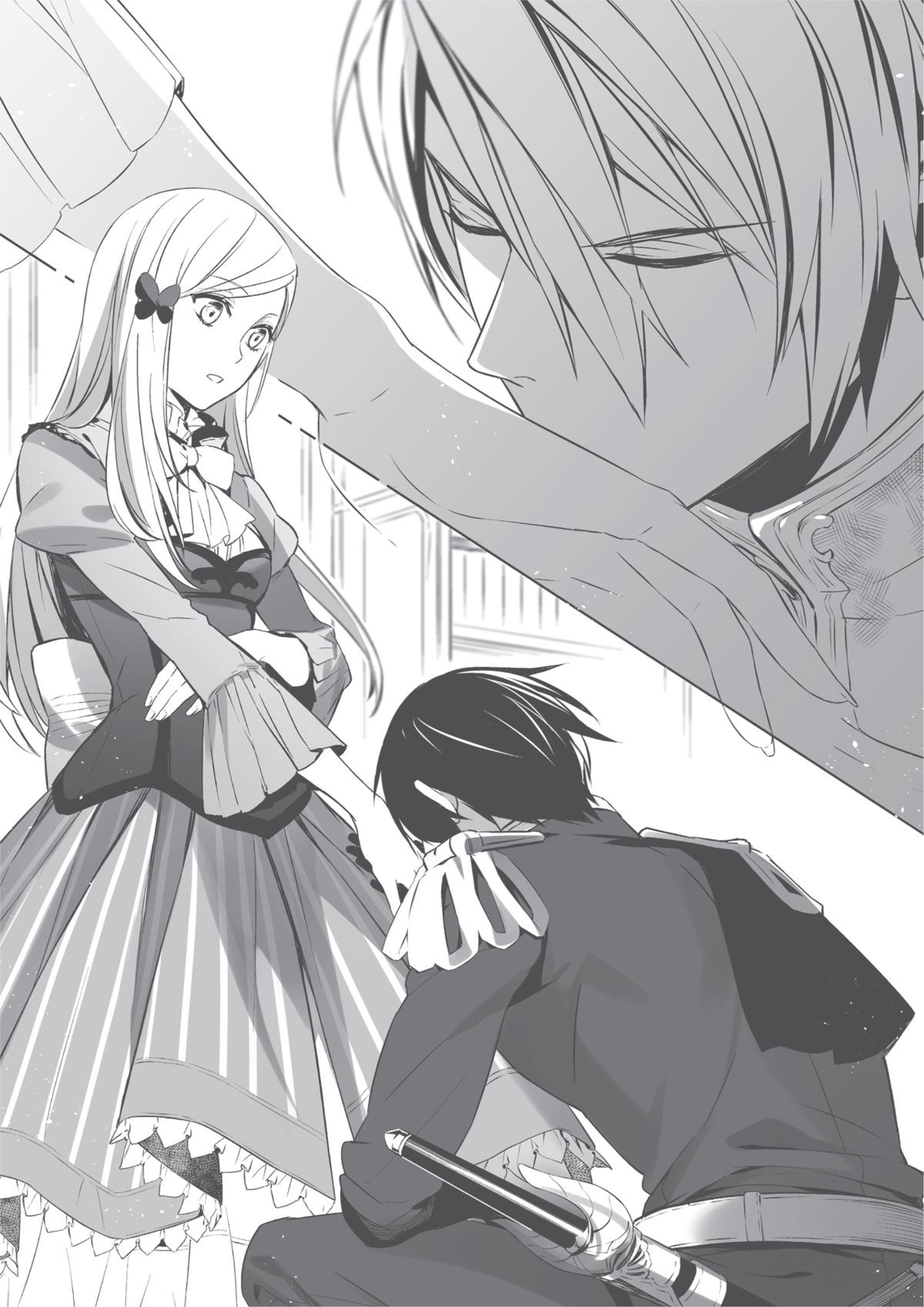Watashi wa Gotsugoushugi na Kaiketsu Tantou no Oujo de Aru V1 Illustration - Megumi Novel