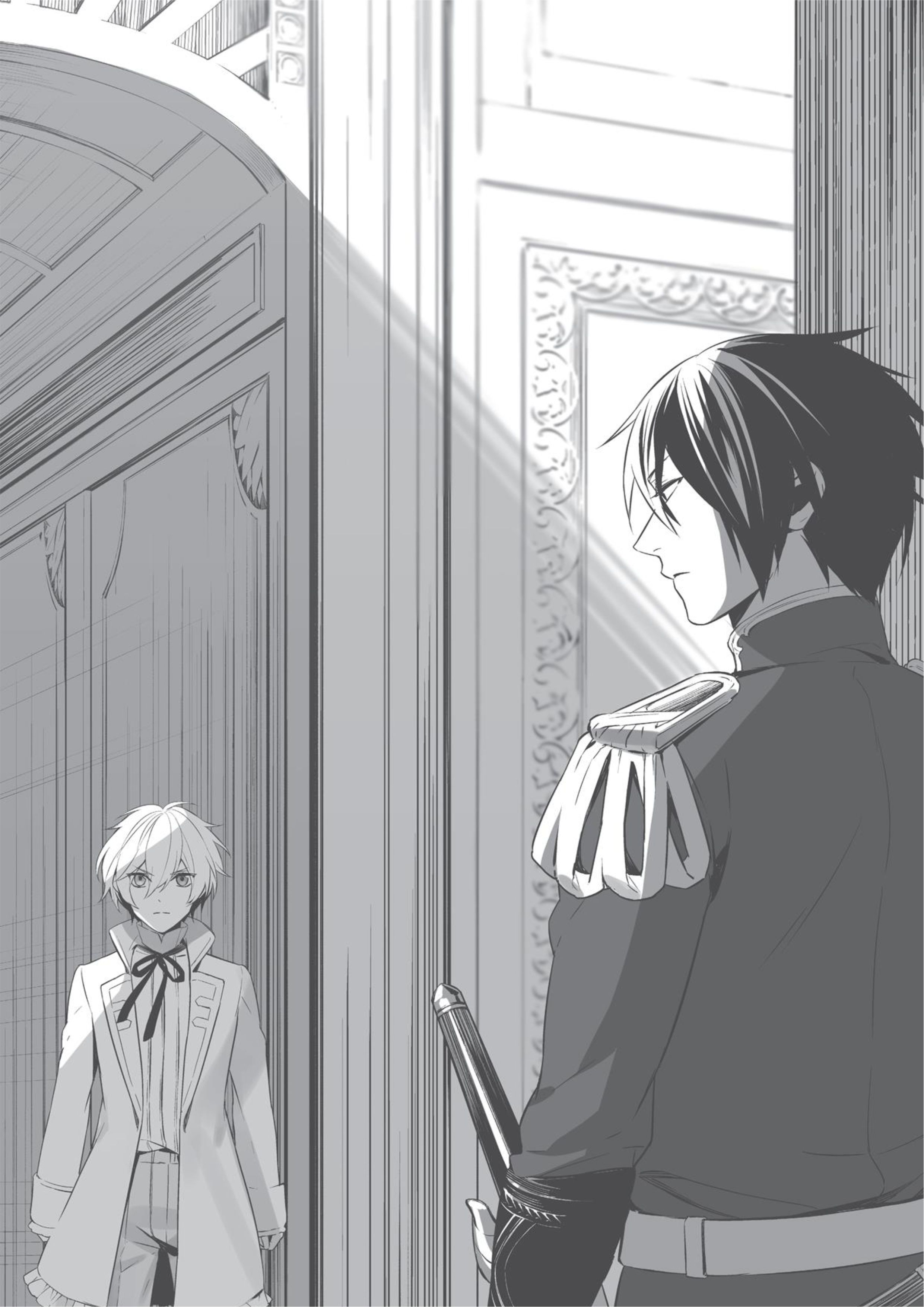 Watashi wa Gotsugoushugi na Kaiketsu Tantou no Oujo de Aru V1 Illustration - Megumi Novel