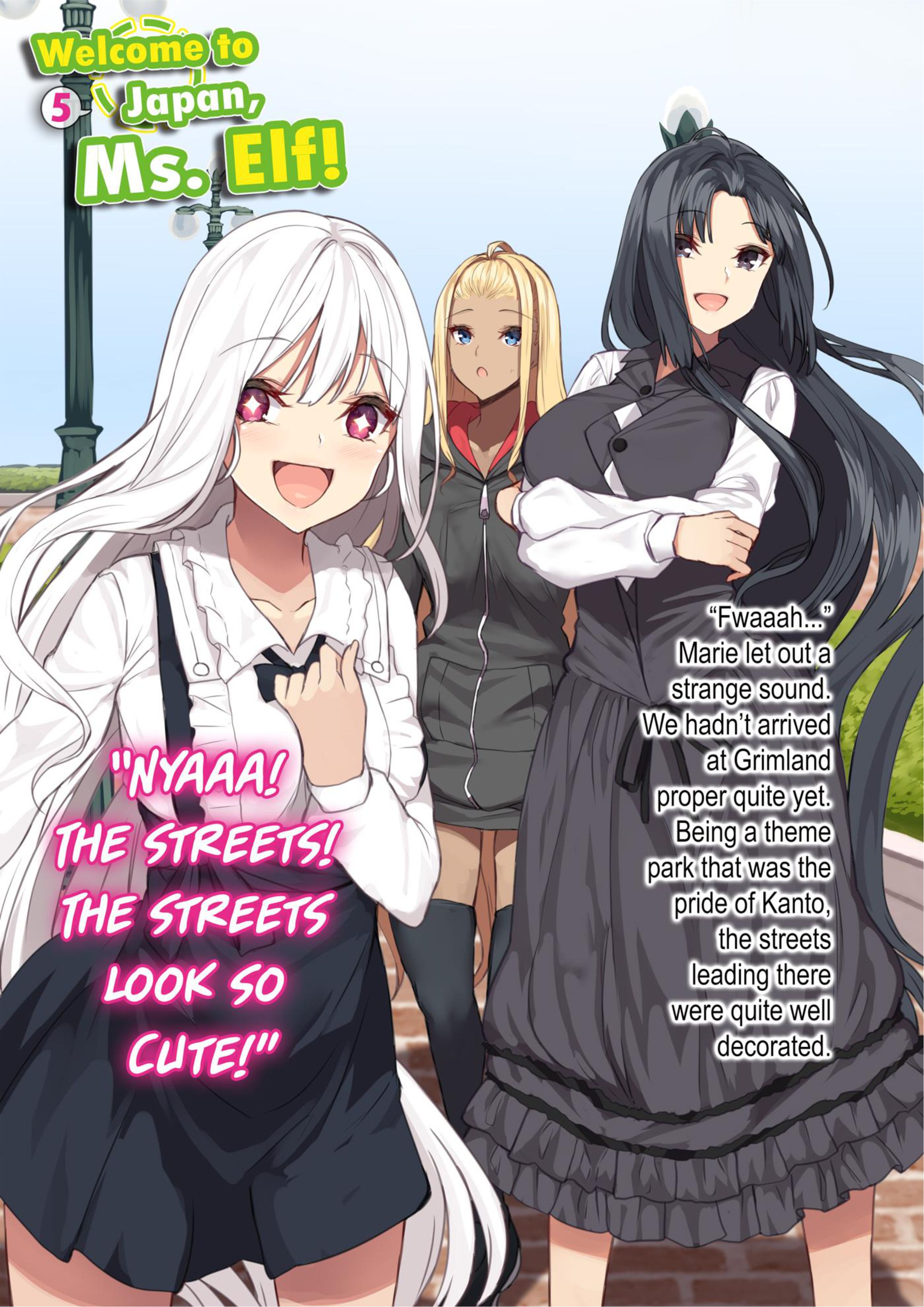 Welcome to Japan, Ms. Elf! V5 Illustration - Megumi Novel