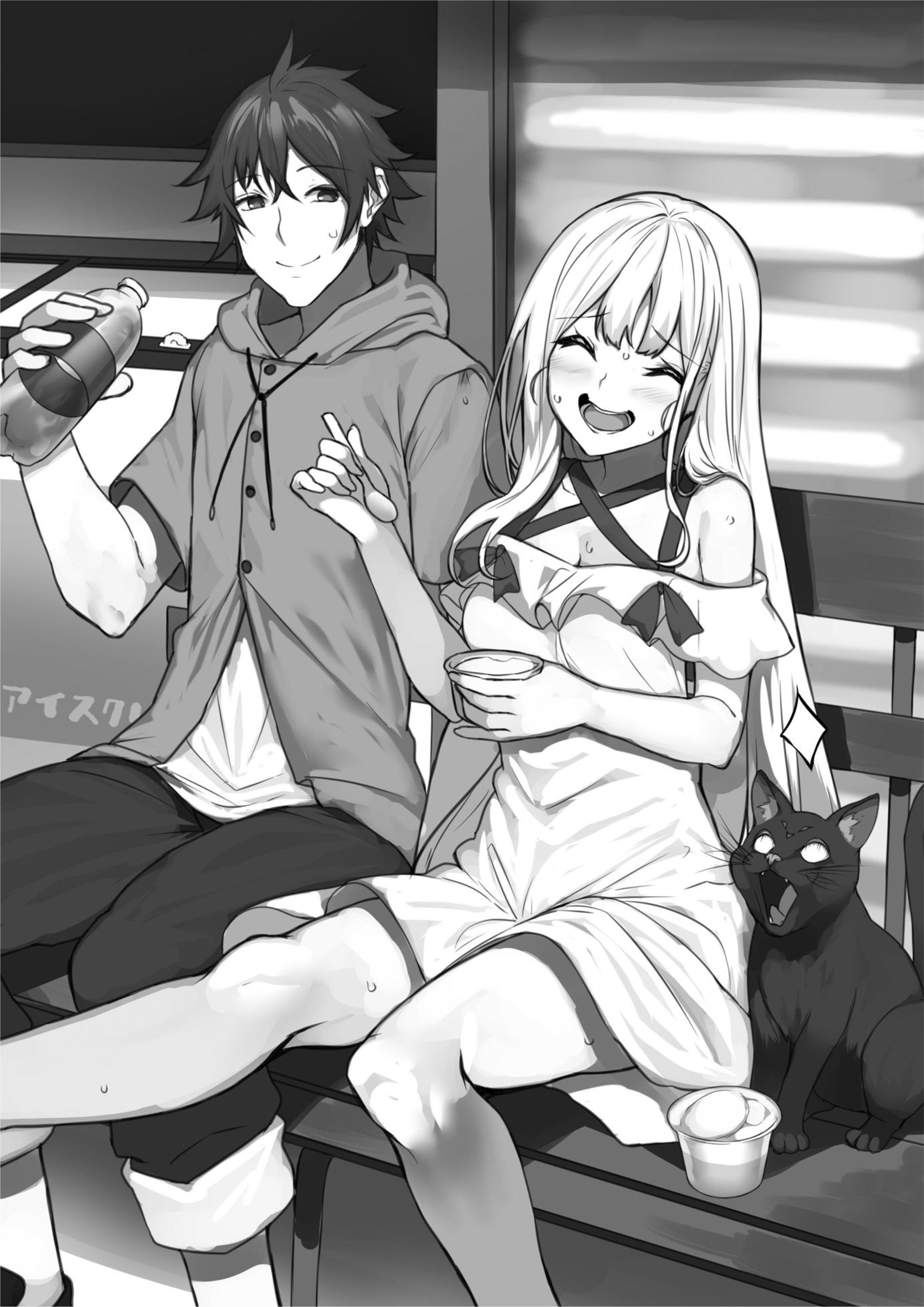 Welcome to Japan, Ms. Elf! V6 Illustration - Megumi Novel