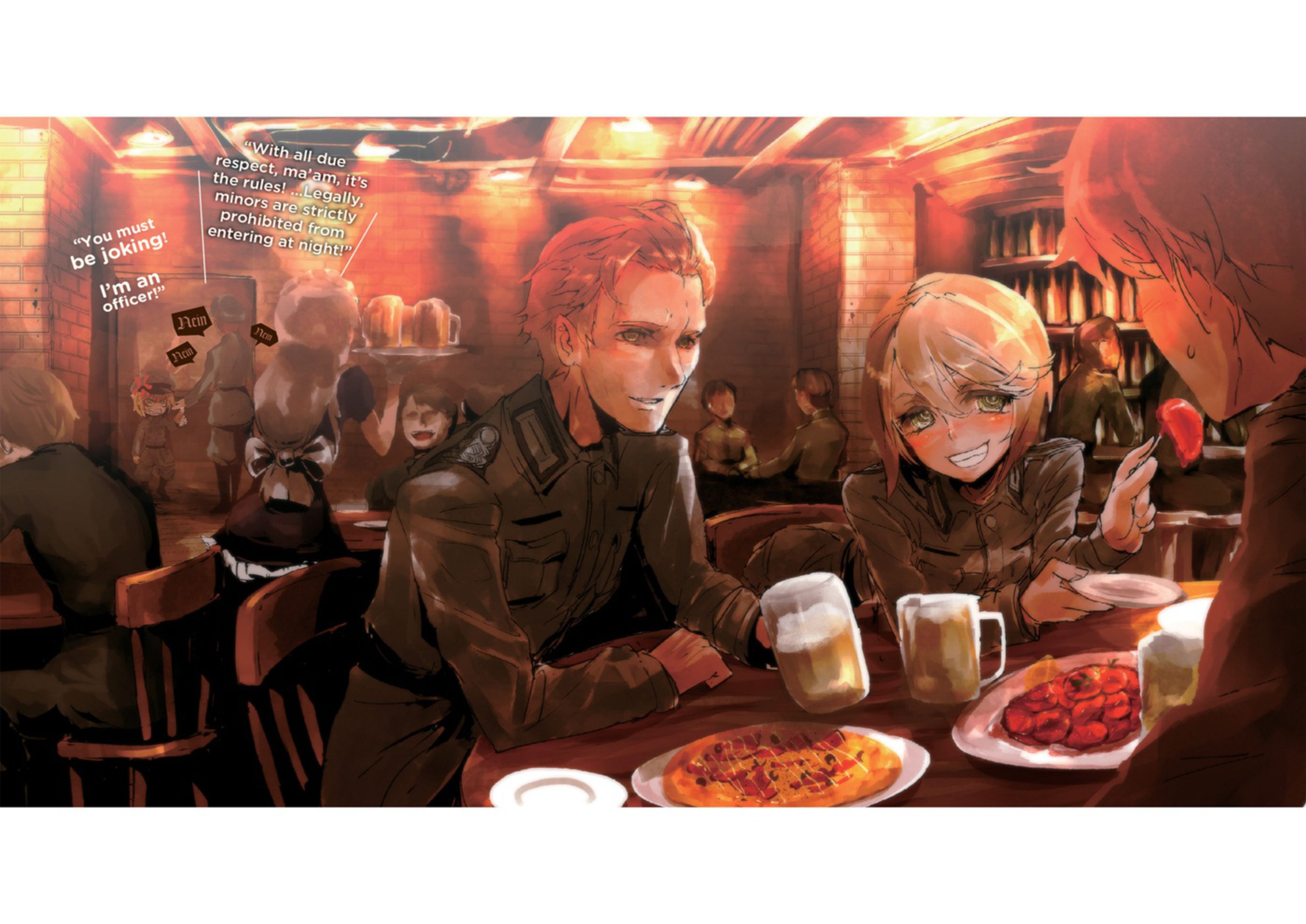 Youjo Senki V5 Illustration - Megumi Novel
