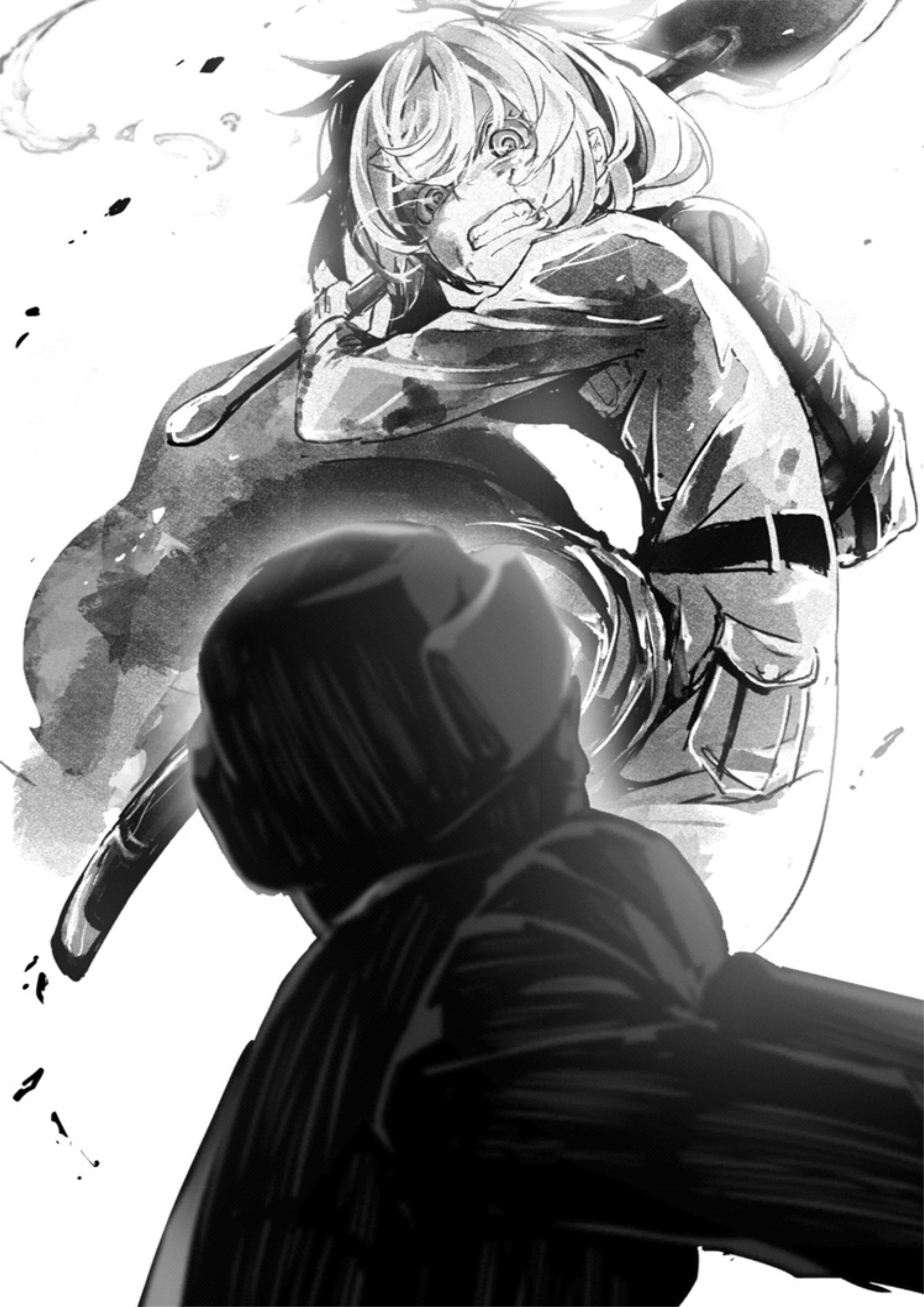 Youjo Senki V8 Illustration - Megumi Novel