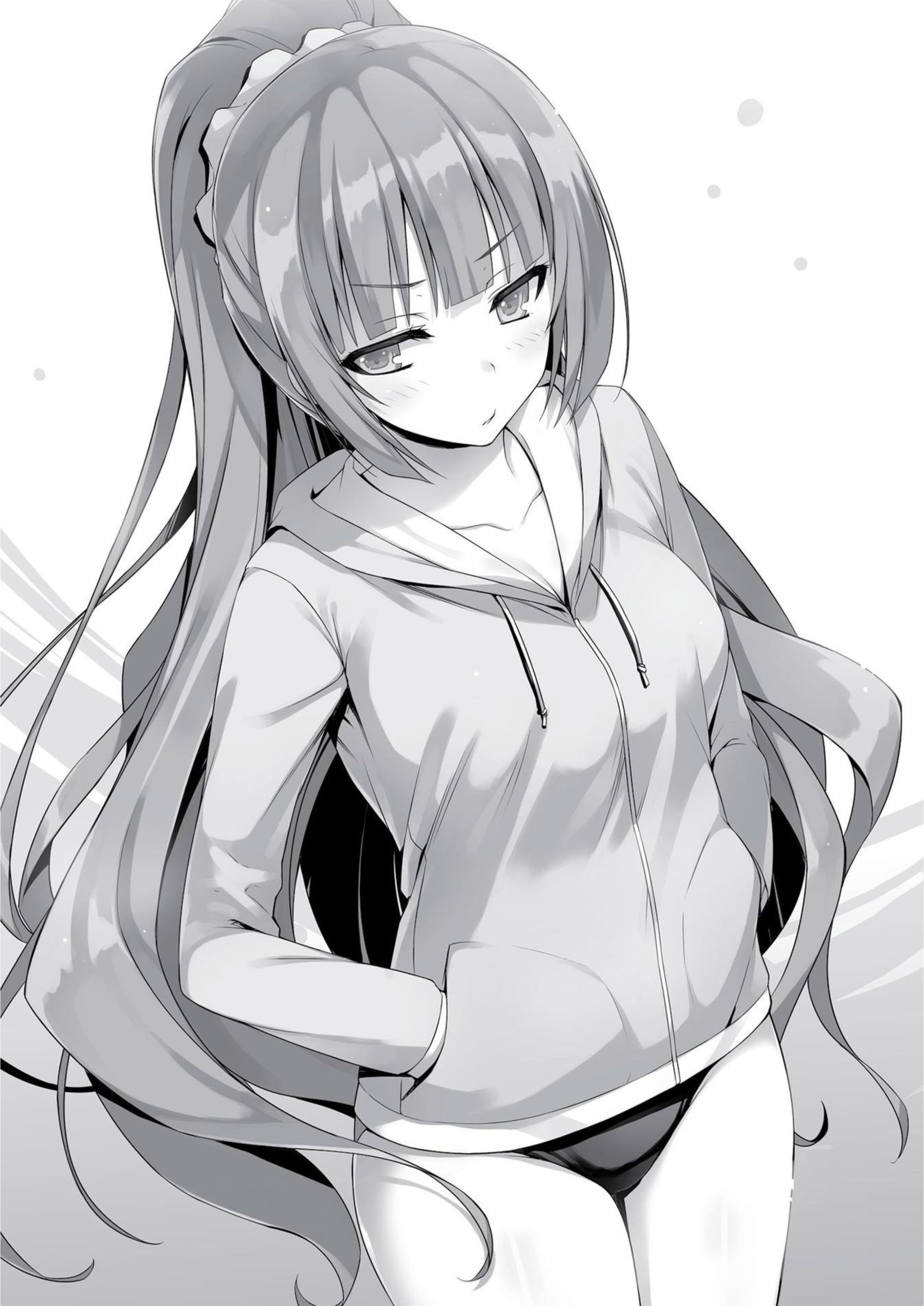 Youkoso Jitsuryoku Shijou Shugi no Kyoushitsu e V4.5 Illustration - Megumi Novel