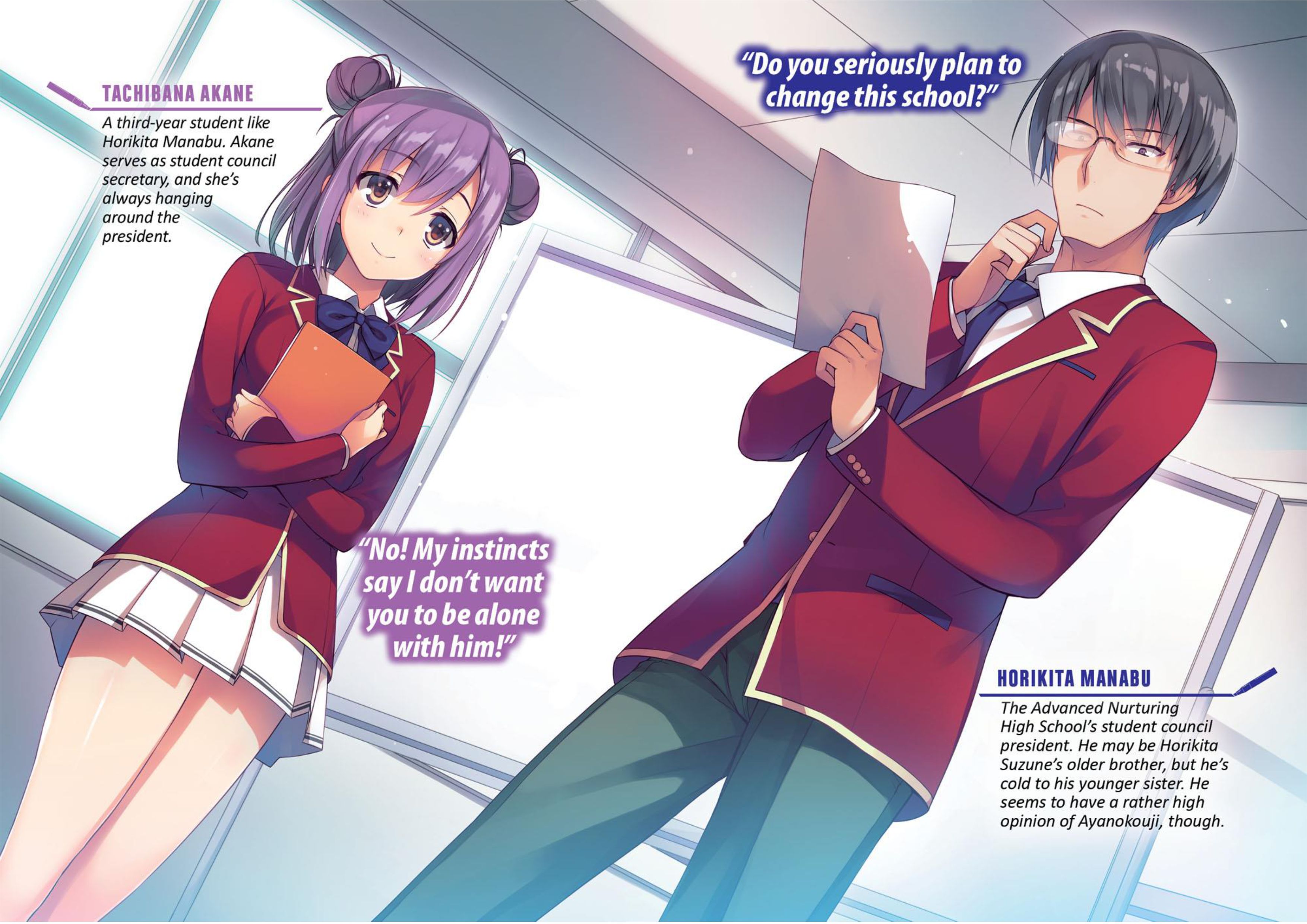 Youkoso Jitsuryoku Shijou Shugi no Kyoushitsu e V5 Illustration - Megumi Novel