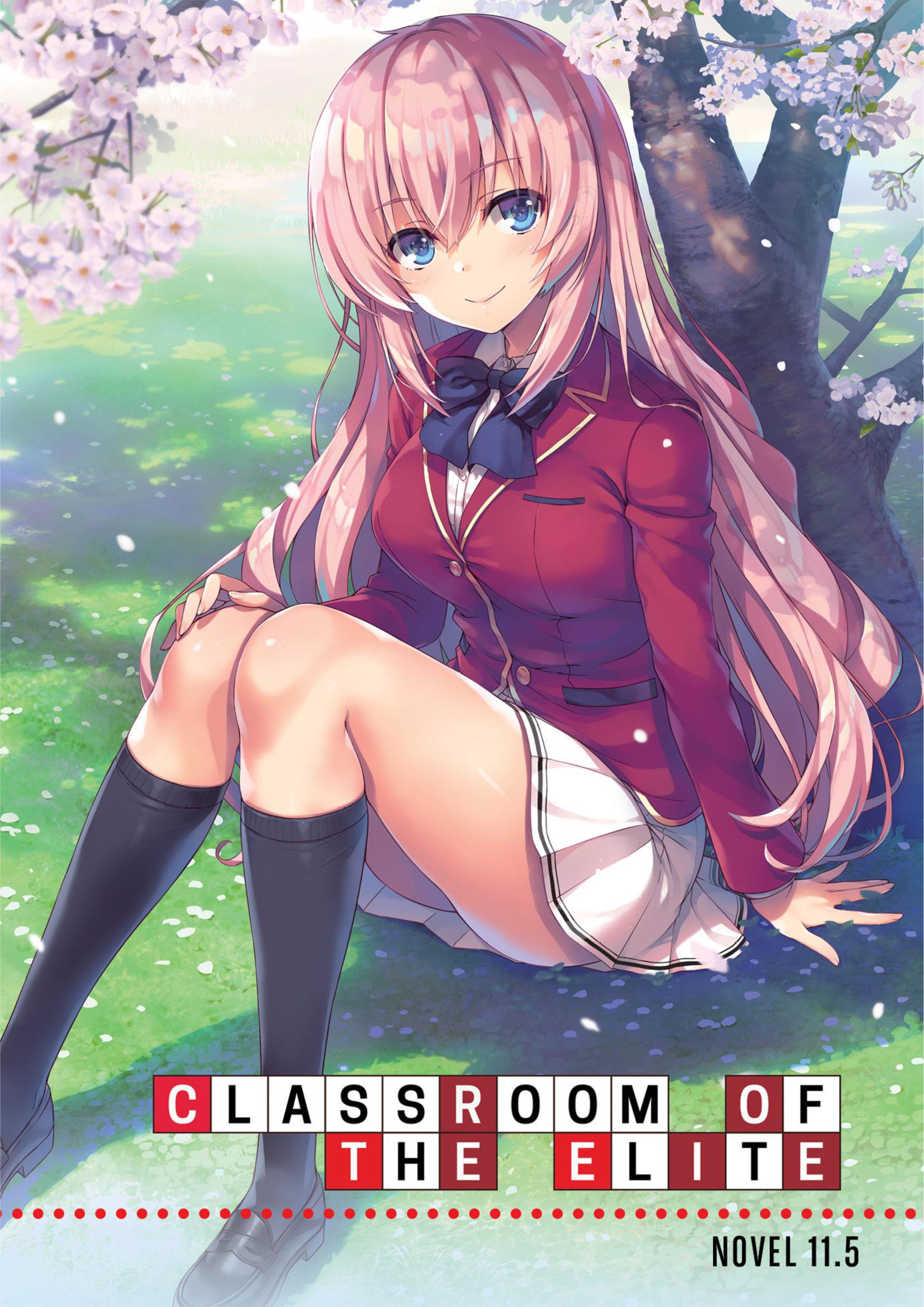 Youkoso Jitsuryoku Shijou Shugi no Kyoushitsu e V11.5 Illustration - Megumi Novel