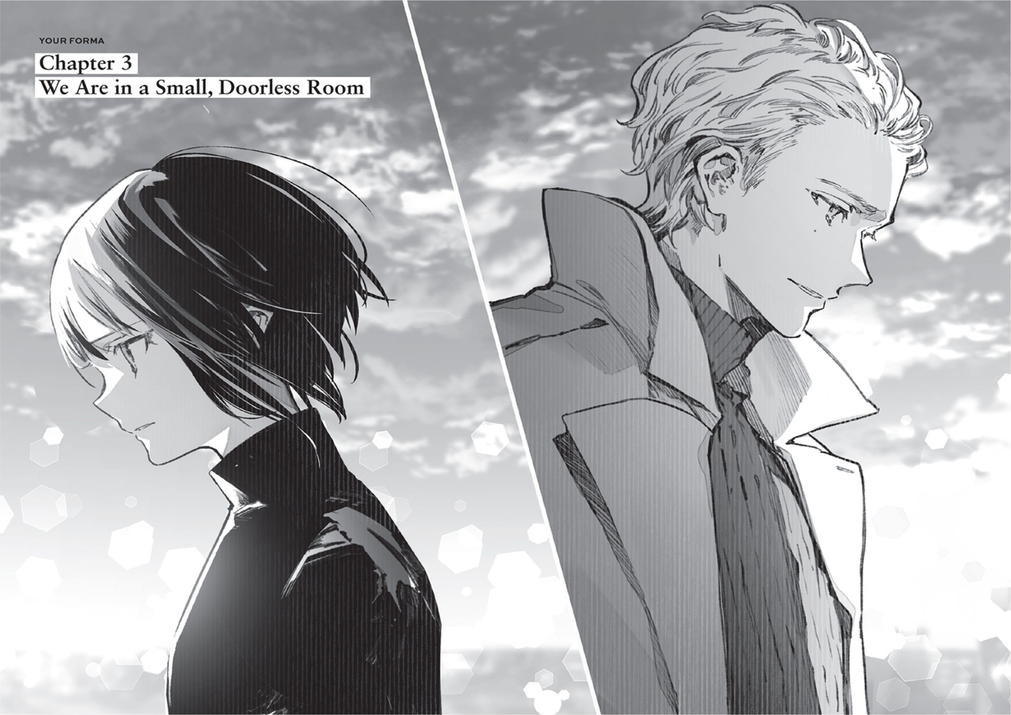 Your Forma V2 Illustration - Megumi Novel