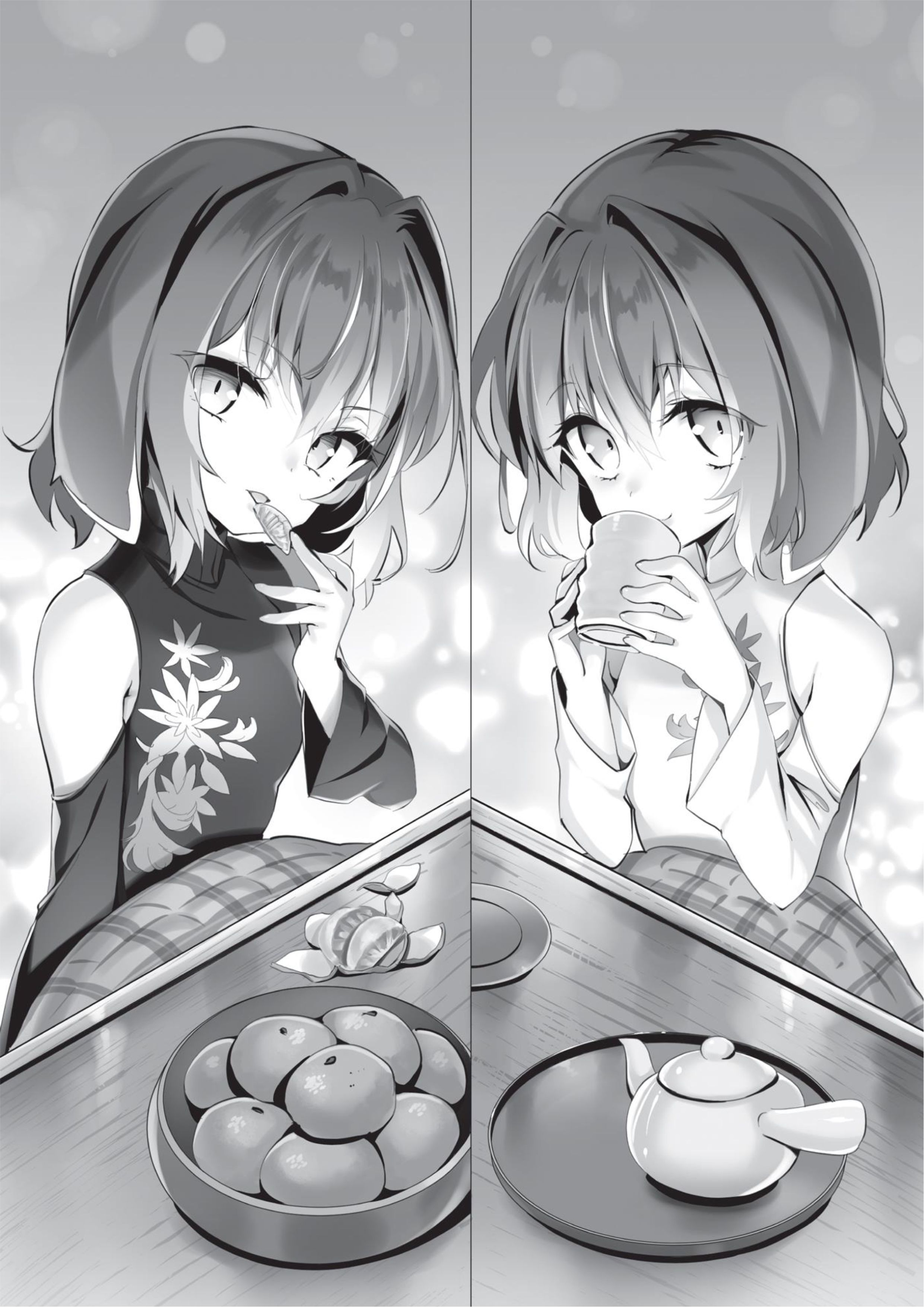 Zettai ni Hatarakitakunai Dungeon Master ga Damin wo Musaboru made V17 Illustration - Megumi Novel