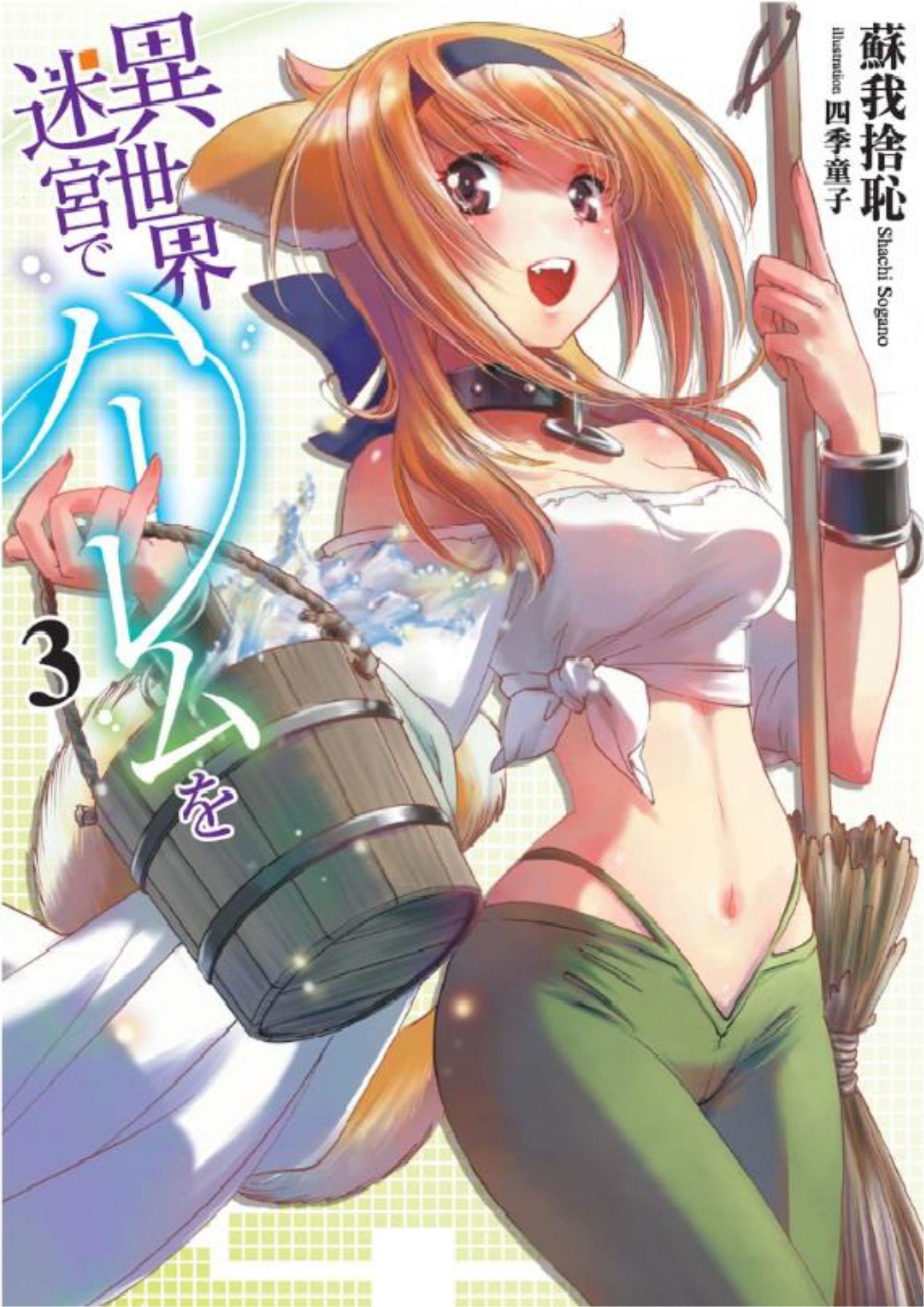Isekai Meikyuu De Dorei Harem wo